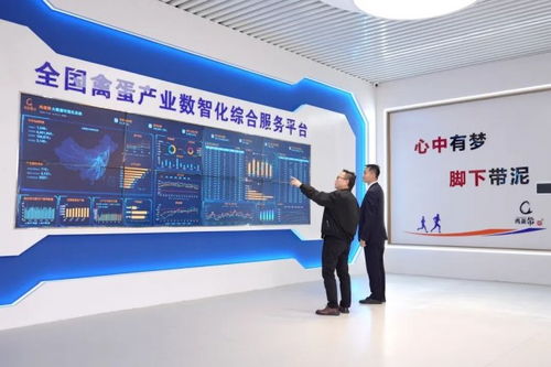 蛋生數(shù)智夢，科技孵未來 金融賦能農(nóng)業(yè)科技蝶變